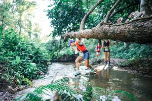 BIB: 
                            <button type="button" onclick="openModal(25438239)" class="btn btn-primary btn-sm float-right btn-popup" data-toggle="modal" data-target=".modal-high-quality">
                        <i class="fas fa-shopping-cart"></i> Add to Cart
                    </button>
                                            <button type="button" onclick="isThisMe(25438239, true)" class="btn btn-success btn-sm float-right btn-popup btn-isme hidden" data-toggle="tooltip" data-placement="bottom" title="นี่คือรูปของคุณใช่ไหม คลิกที่นี่เพื่อเอาเข้าอัลบั้ม">
                        <i class="fas fa-plus"></i> Add to album
                    </button>
                    <button type="button" onclick="isThisMe(25438239, false)" class="btn btn-warning btn-sm float-right btn-popup btn-isnotme hidden">
                        <i class="fas fa-ban"></i> Remove from album
                    </button>